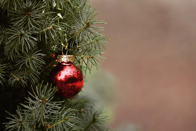 christmas-4704707_1920